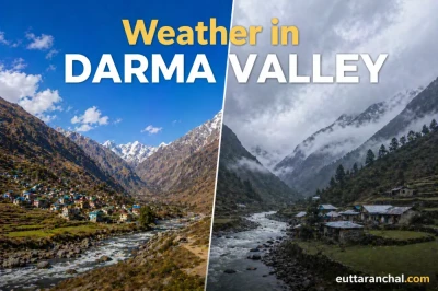Darma Valley Weather Guide