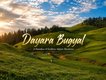 Dayara Bugyal Travel Guide