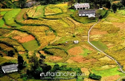 Saari Village - On the way to Deoriyatal, Uttarakhand.