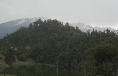 Reflection of forest seen in the green water s of Deoriatal. Snow-capped peaks in the far background present a contrast.
