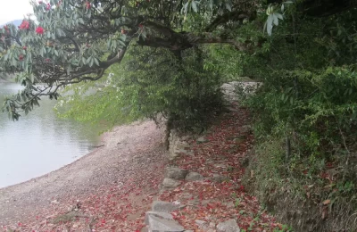 Deoriatal welcomes us in its own way by paving the path around with flowers and the trees full of blossom