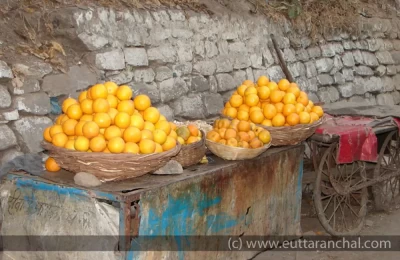 Oranges selling in market