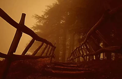 Stairs at eco park Dhanaulti.