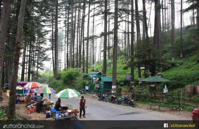 The eco park at Dhanaulti