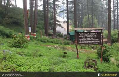 Inside Dhanolti Eco Park