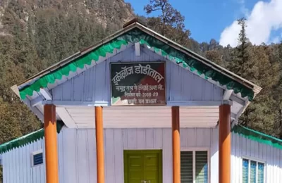 Forest Eco Lodge in Dodital