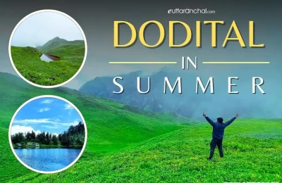 Dodital in Summers