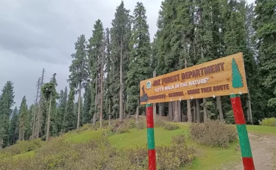 Doodhpathri - Rishikhal - Chanz Trekking Route Starting Point
