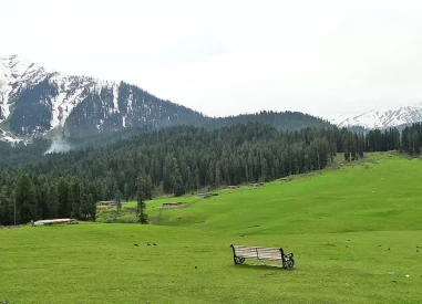 Scenic Beauty of Doodhpathri