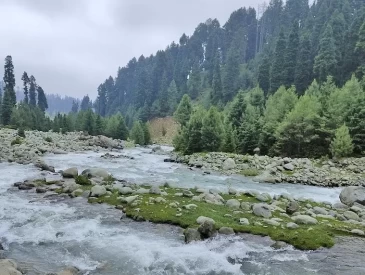 Shaliganga River 
