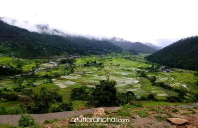 A beautiful view of village Binta near Dwarahat, Uttarakhand.