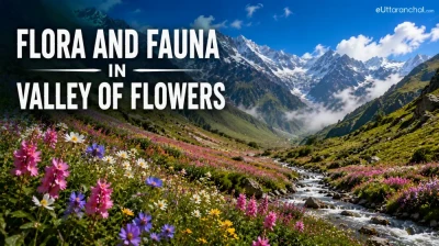 Flora and Fauna in Valley of Flowers