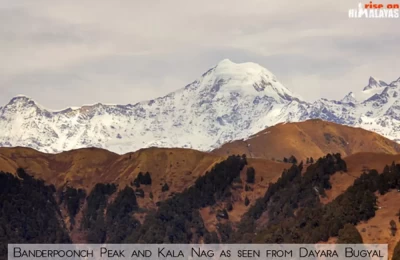 Complete Dayara Bugyal Circuit Trek