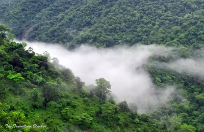 Forest near Haldwani