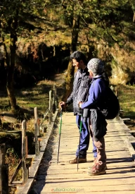 Trekkers on Wooden Bridge