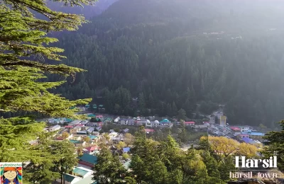 Harsil Town - Bird eye view