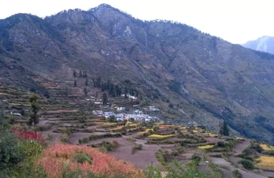 चमोली से 70 KM दूर यह गांव 'नंदघुंगुटी'/ नंदाघुंटी की तलहटी पर 2600 मीटर की ऊँचाई पर बसा है। यहां से 'लार्ड कर्जन पास' काफी पास है जो तपोवन जोशीमठ पहुँचता है साथ ही नंदघुँघुटी पर सप्तकुण्ड और दुग्दकुंडी हैं जो की रूपकुंड और होमकुंड के पिछले हिस्से पर हैं। पर अभी तक उत्तराखंड के पर्यटन के नक़्शे पर इसका नाम नहीं है। बिरही तक या गौना ताल भी यहीं पर था जो टूट चुका है।