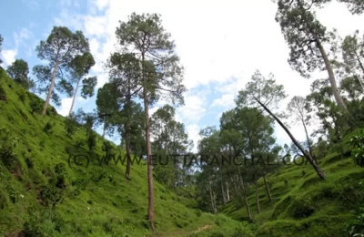 Natural beauty on the way to Almora to Jageshwar