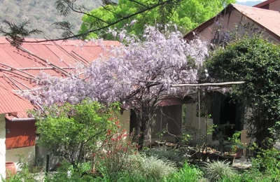 Jeolicot Cottage picture