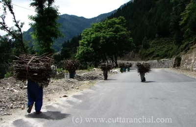 Local women carrying woods to their village