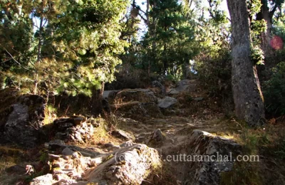 Short Trek Route from Joshimath to Auli