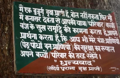 Beautiful Message on the Oldest Deodar Tree