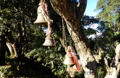 Pilgrims paying homage to the Van Devi (Goddess of Forest)