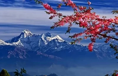 View from Kasar Devi