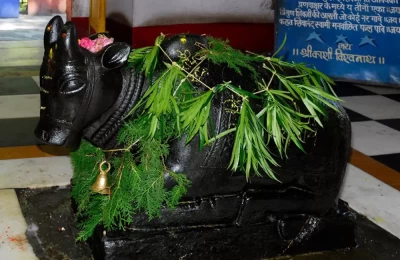 Idol of Nandi in front of temple