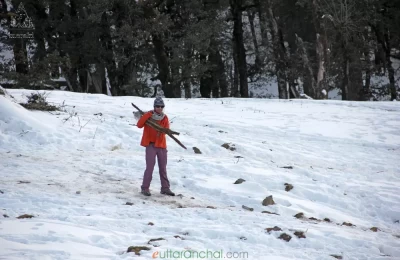 Finding woods for bonfire