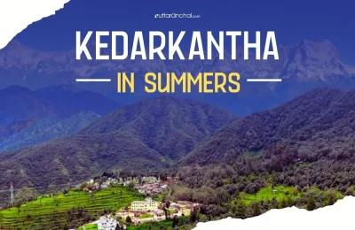 Kedarkantha in Summers