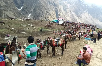 Mules stop - You have to buy a token if you want to cover the trekking route in Kedarnath valley in Mules.