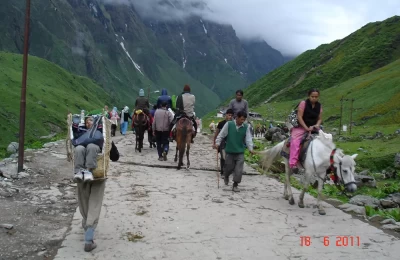 Kedarnath Pony Service and Palki Rates 2024