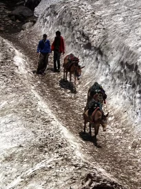 Trek route to Kedarnath. 