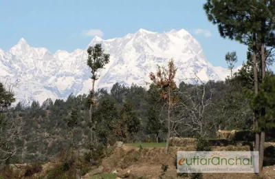 Another Zoomed photo from Khirsu