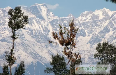Himalayas zoomed from Khirsu