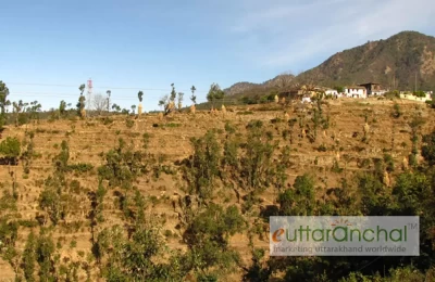 Khirsu Village Picture