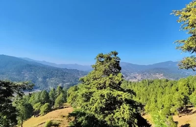 Views from Kot Bhramari Temple