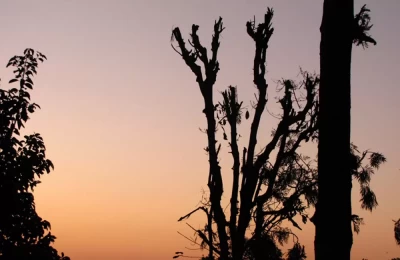 Beautiful Evening in Kotdwara