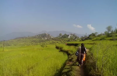 view of Dhoni Silinga village near Lohaghat.