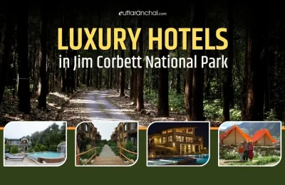 Luxury Hotels in Jim Corbett National Park