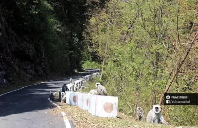 Road side spectators on Mandal-Chopta road.