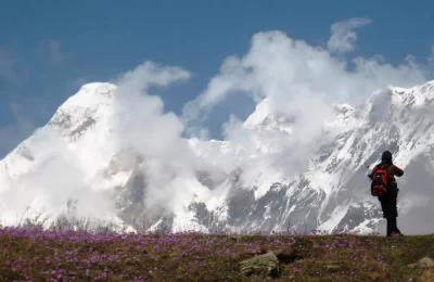Scenic view of snow capped mountains and flowers in Nandadevi East Base Camp, Munsyari 