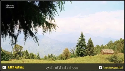 A small hut in the middle of green meadows of Thal Munsiyari, Pithoragarh surrounded by dense green forest.