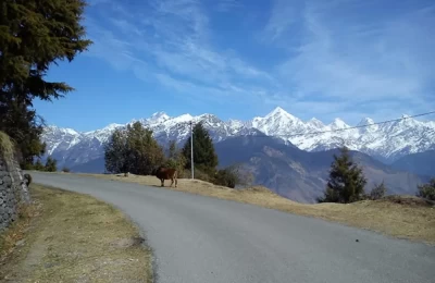 Kumaon Extensive 9 Days Tour Package