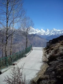 Way to Heaven - Munsiyari. 