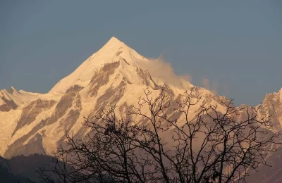 Photo was taken at the Munsiyari village and winter is about to come almost all the trees was without there leafs, may be preparing for the winter.
