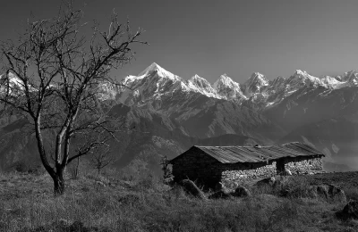 An abandon hut and Panchchuli peaks in the backdrop as seem from Munsiyari. 