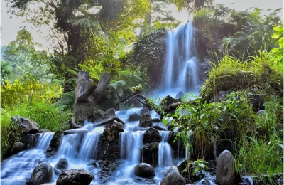 Waterfall at a local garden in Mussoorie