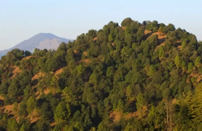 Bear Hill and Nag Tibba